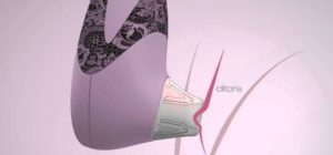Womanizer recenze
